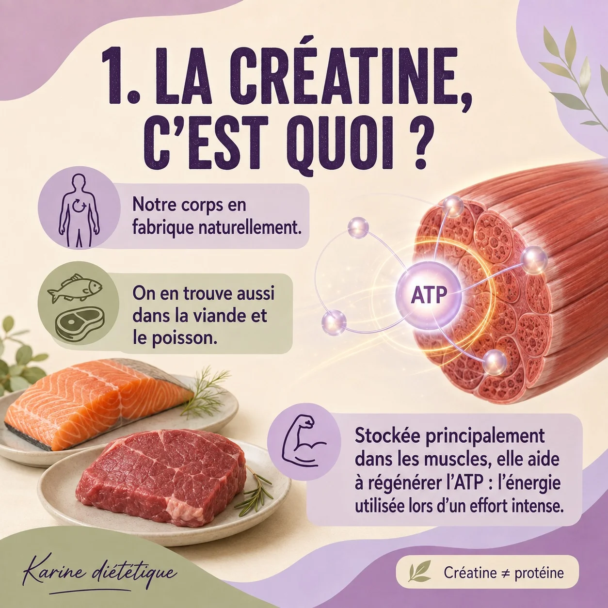 La créatine